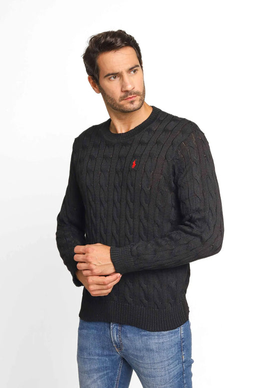 O Suéter Ralph Lauren Detalhado